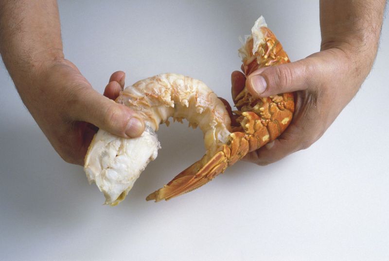 Lobster