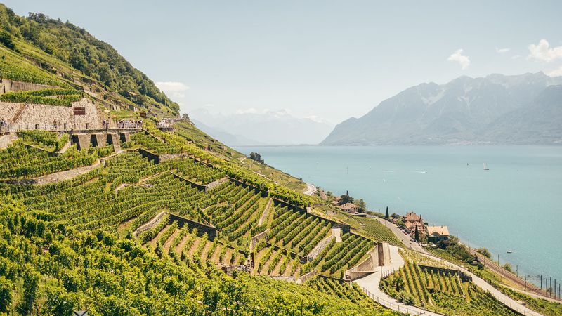 Lavaux Vineyard Terraces, Switzerland