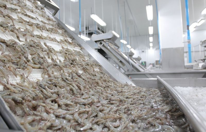 Imported Shrimp and Imported Catfish: When the Origin Label Really Matters