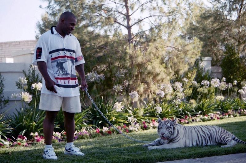 Mike Tyson's Bengal Tigers