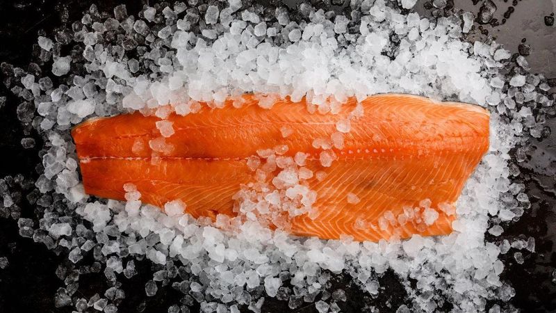 Farmed Salmon