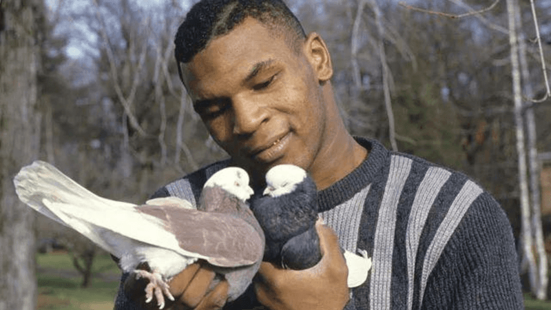 Mike Tyson's Lifelong Love for Pigeons