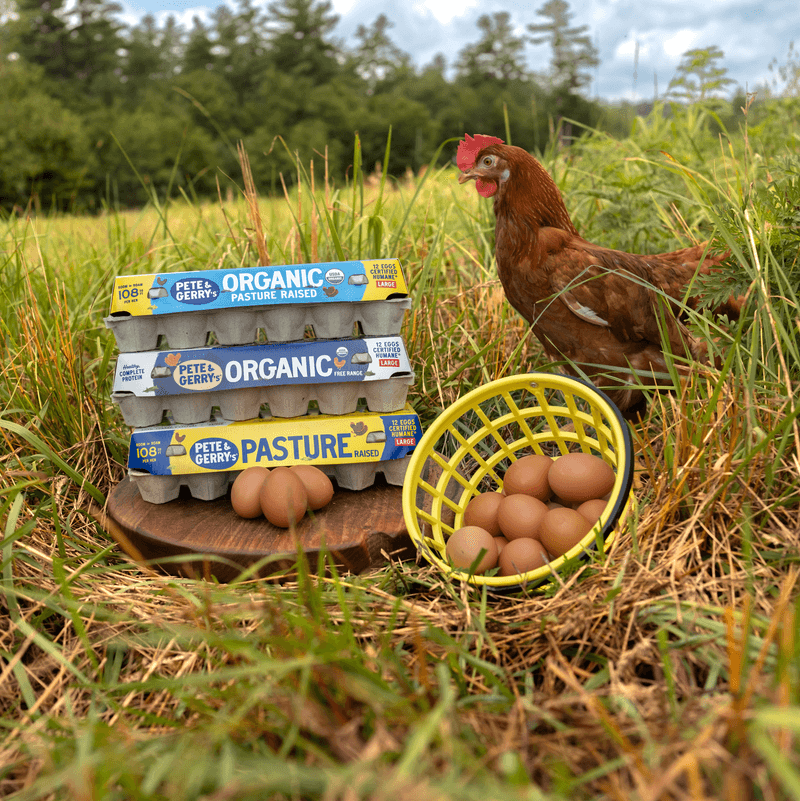 Eggs