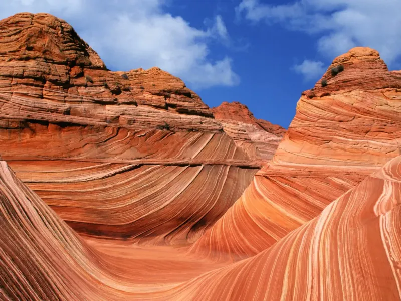 The Wave, Arizona and Utah Border, USA
