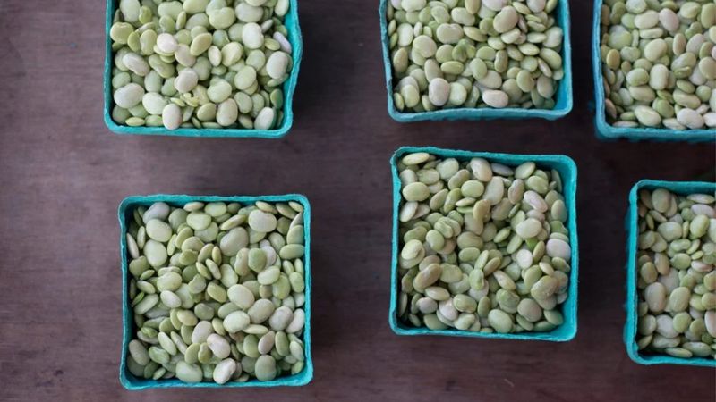 Lima Beans