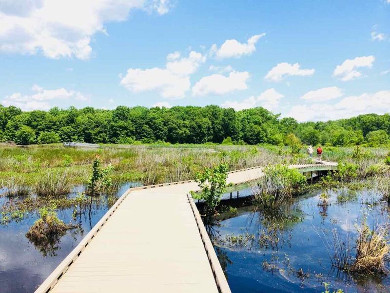 Huntley Meadows Park, Alexandria