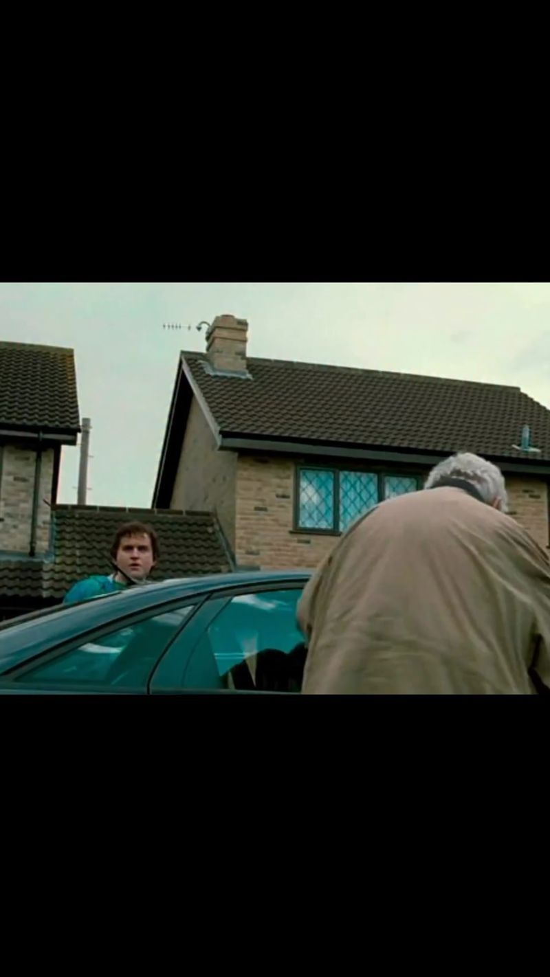 The Dursleys Saying Goodbye Under Order Protection