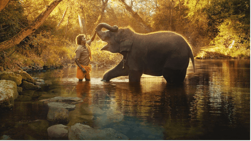 The Elephant Whisperers (2022)