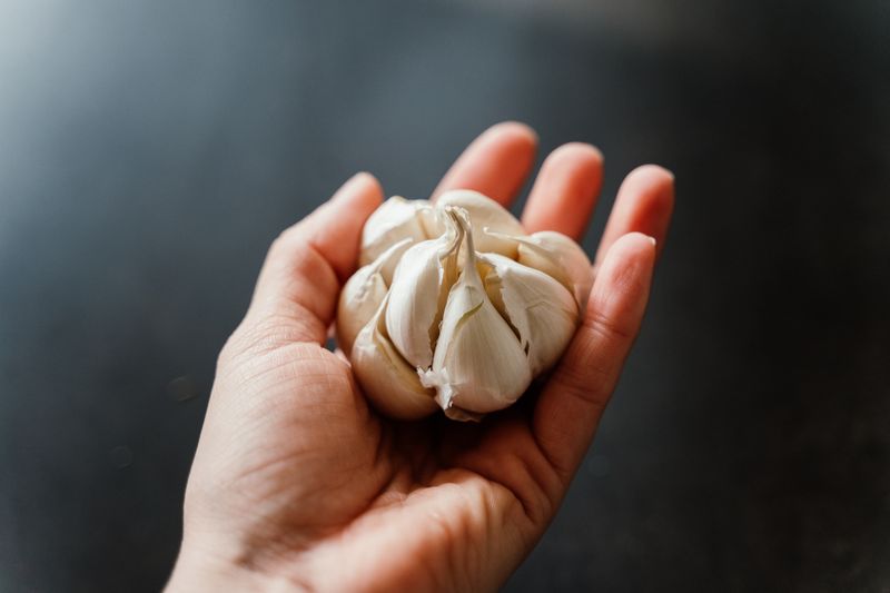 Garlic