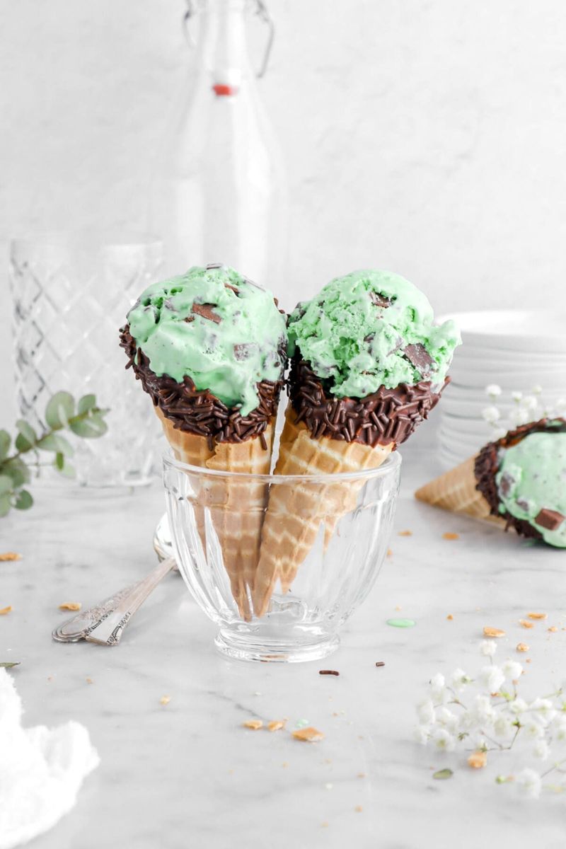 Mint Chocolate Chip