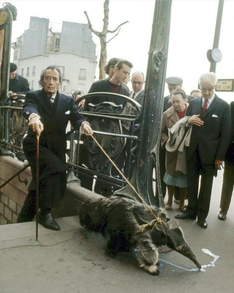 Salvador Dali's Ocelot Babou and Pet Anteater