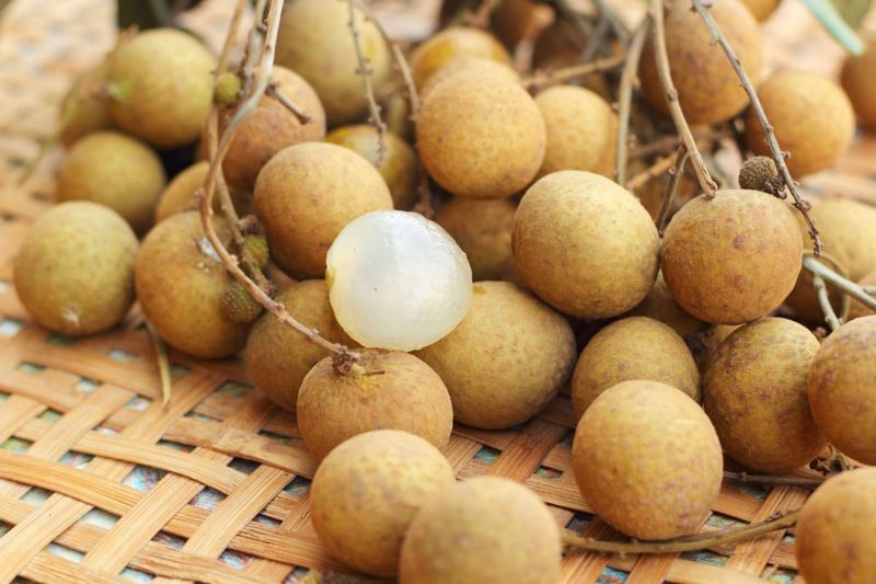 Longan