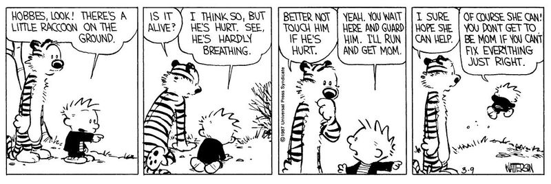 Calvin and Hobbes by Bill Watterson