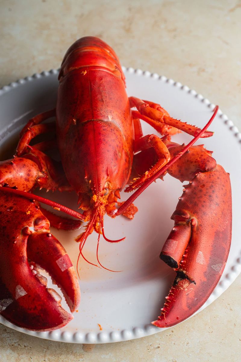 Lobster