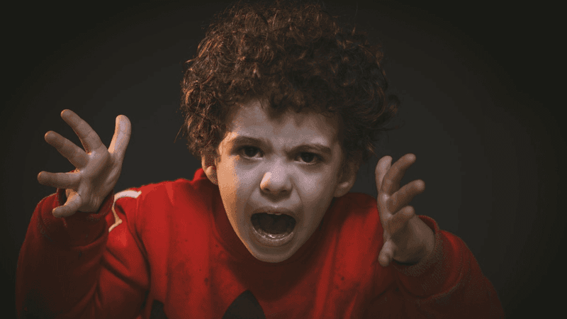 Reactivity and a Tendency to Seek Conflict