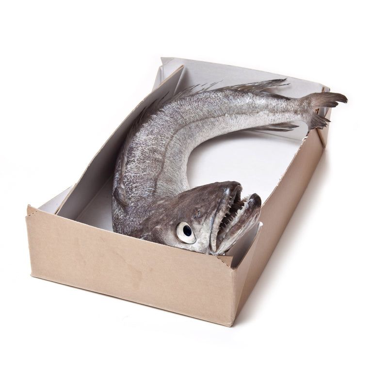 Hake and Skate: The Underrated Bargain Finds
