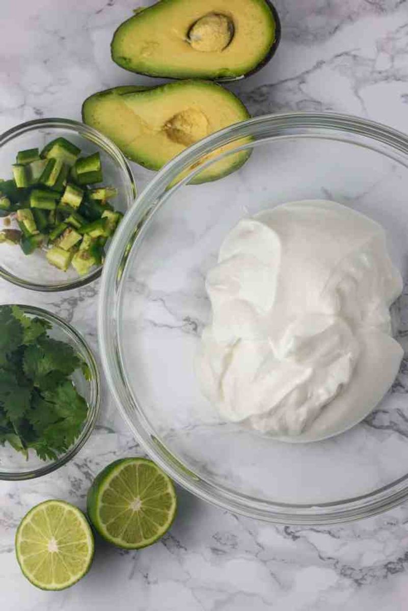 Greek Yogurt Instead of Sour Cream