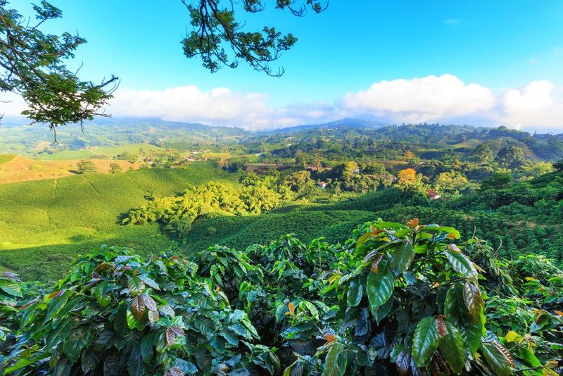 Colombia: Coffee, Color, and Conversation