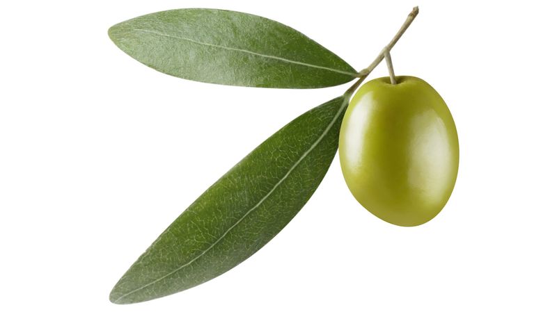 Victor Feguer's Last Meal: One Single Olive