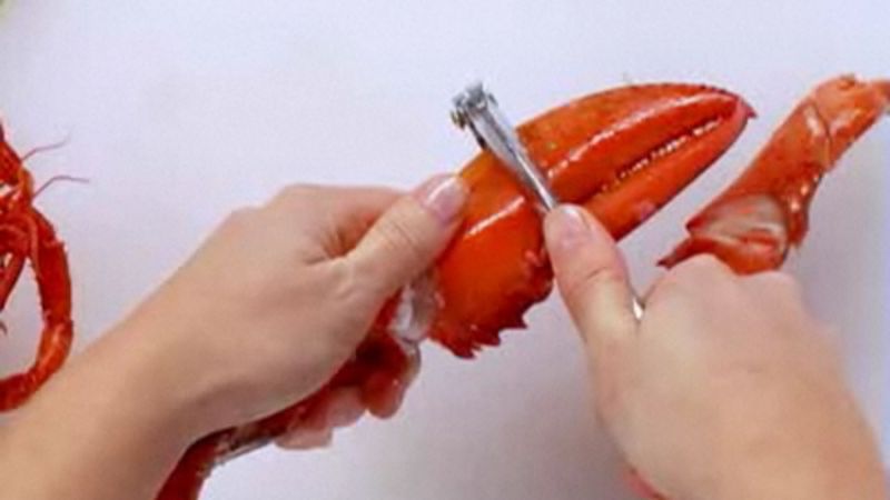 Lobster