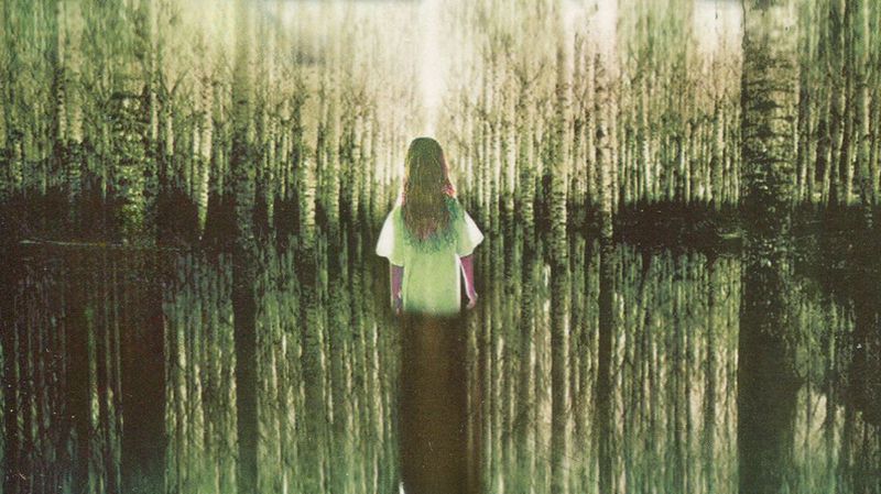 The Girl Who Loved Tom Gordon