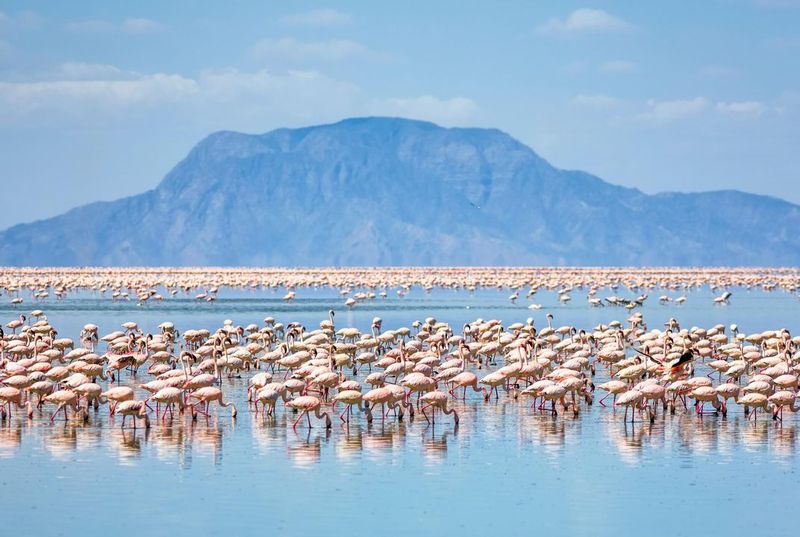 Lake Natron, Tanzania