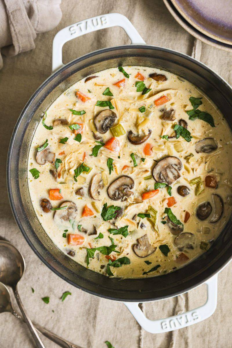 Chicken and Mushroom Orzo Soup
