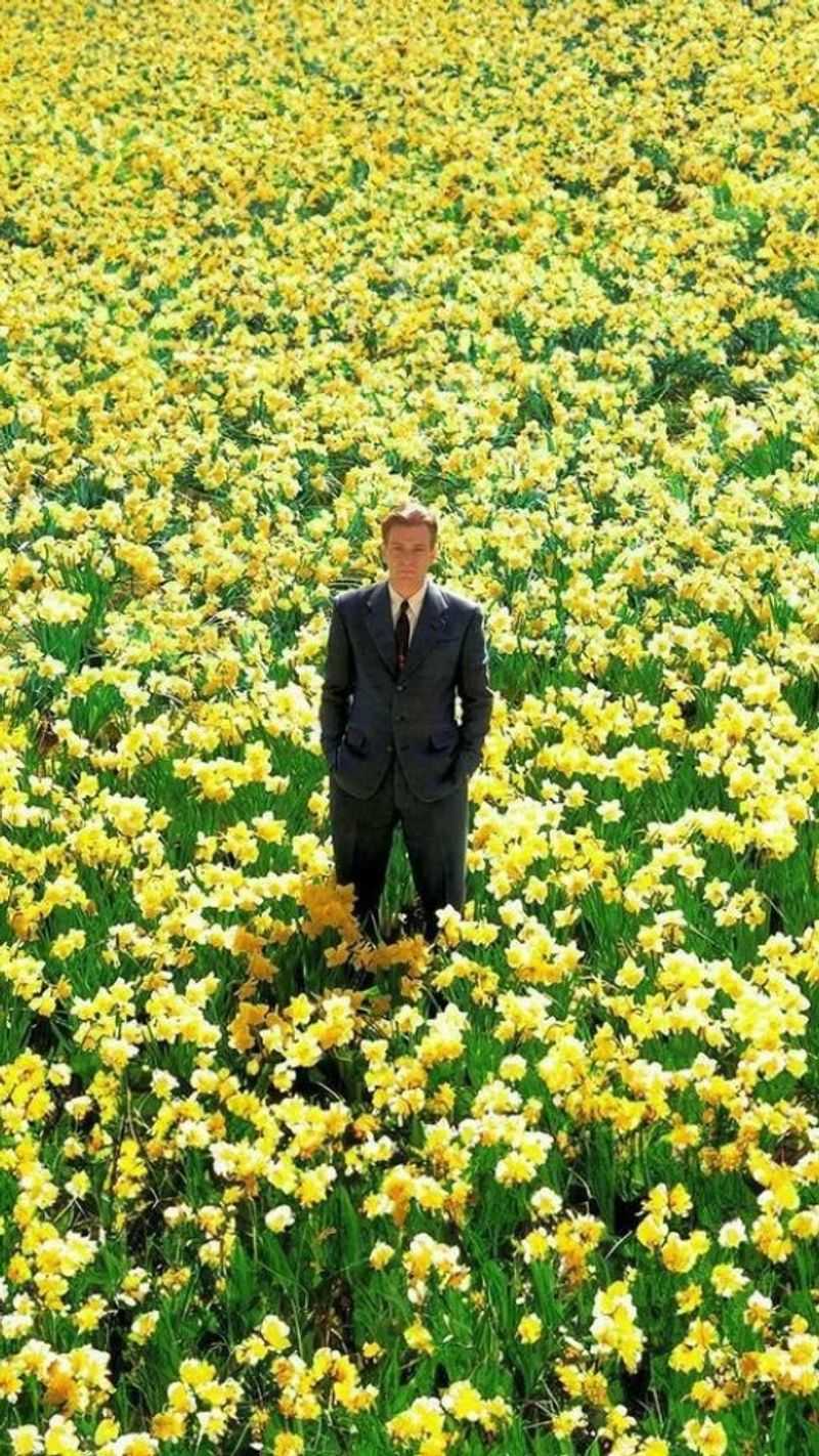 Big Fish: Edward Bloom Fills a Field with Yellow Daffodils