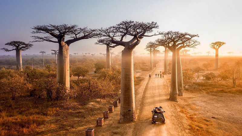 Madagascar