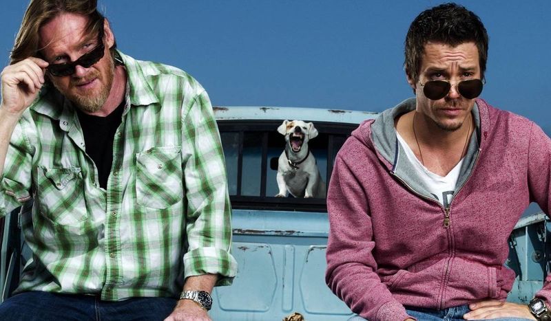 Terriers