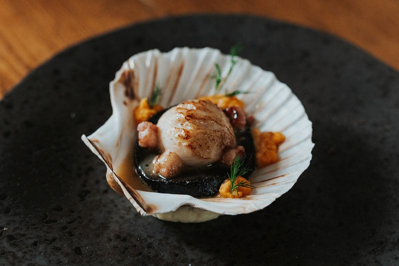 Grilled Hebridean Scallops with Black Pudding