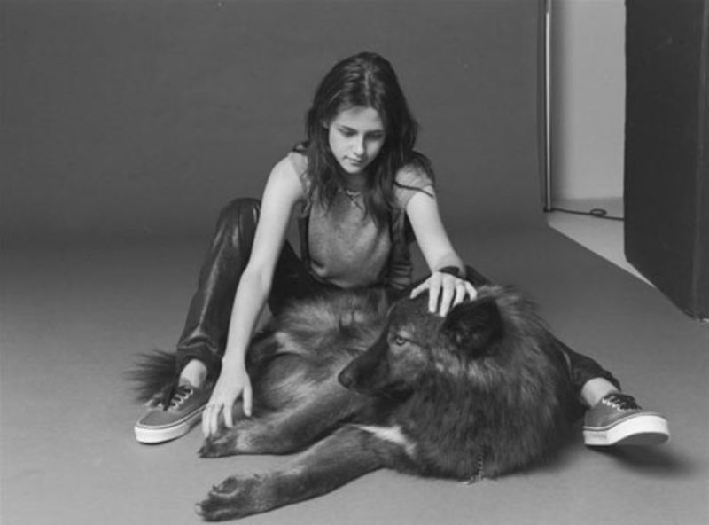 Kristen Stewart's Wolf-Dog Hybrid Jack