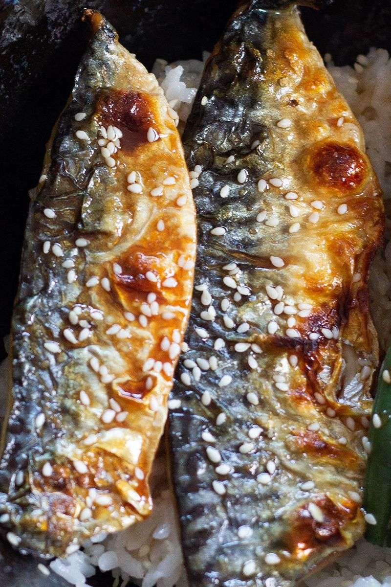 Mackerel