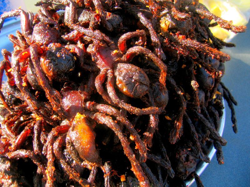 Fried Spiders (Eastern Europe via Roma Cuisine)