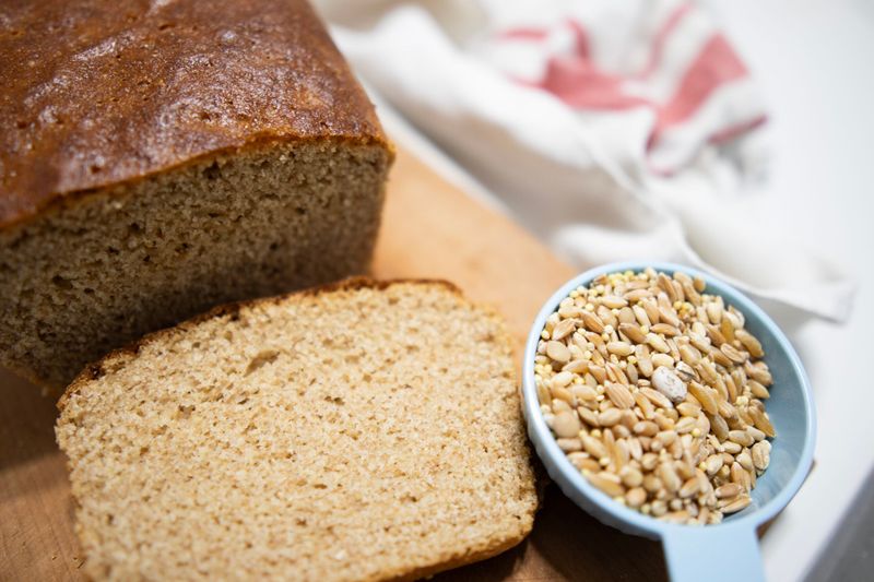 Choose High-Protein Bread for Your Sandwiches