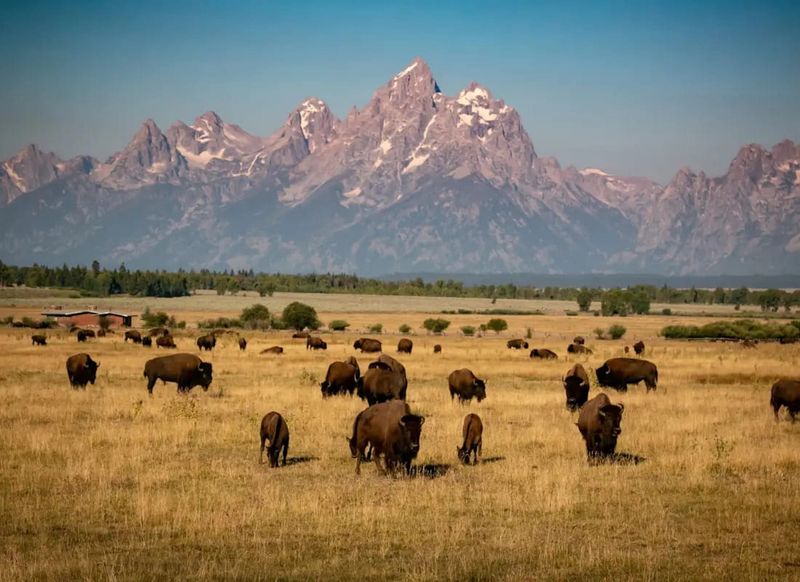 Jackson, Wyoming