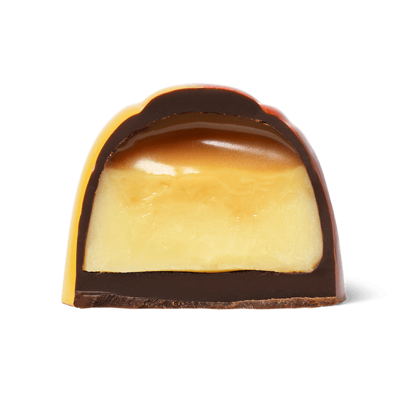 Passion Fruit and Dark Chocolate