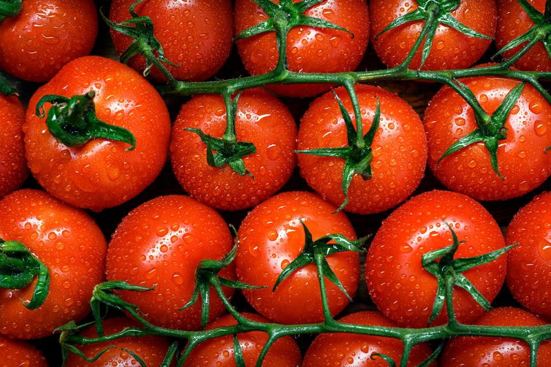 Tomatoes