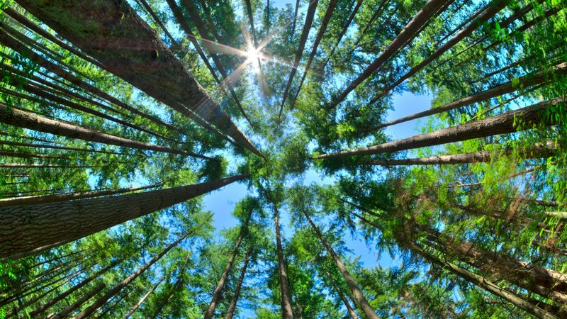 Spend Time Outside in Nature