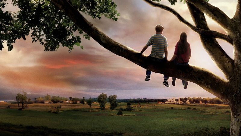 Flipped (2010)