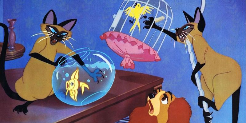 Lady and the Tramp (1955)