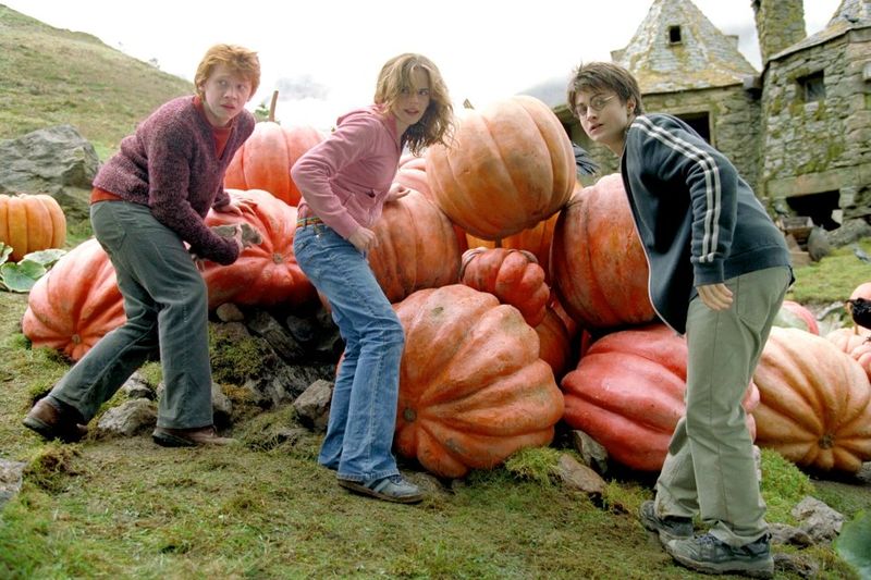 Buckbeak's Execution Scene Has a Big Continuity Problem