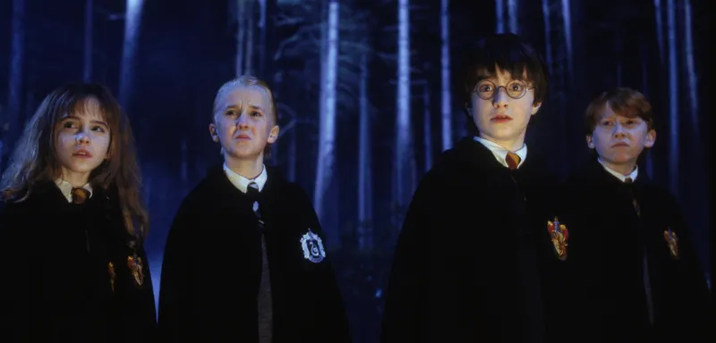 Neville Was Left Out of the Forbidden Forest Detention