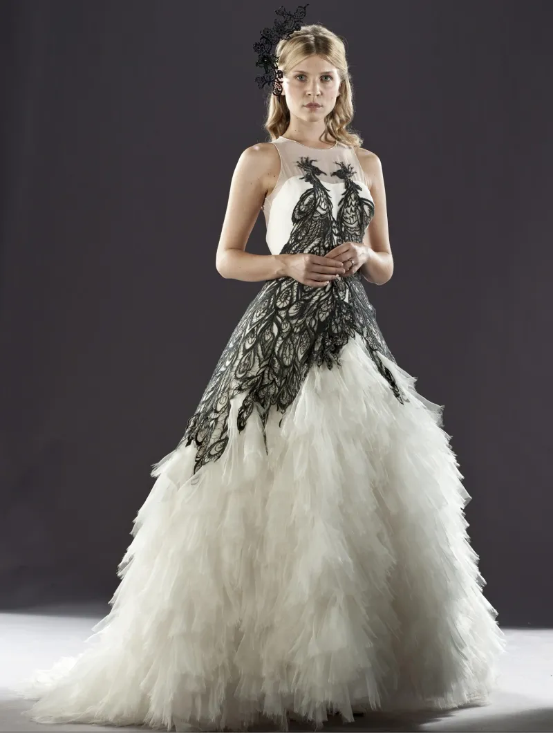 Bill Weasley and Fleur Delacour's Wedding