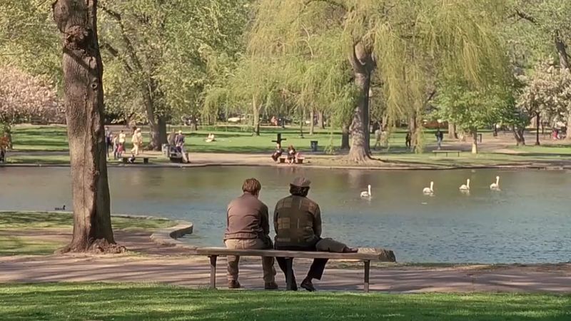 The Park Bench Scene That Almost Was Not in the Film