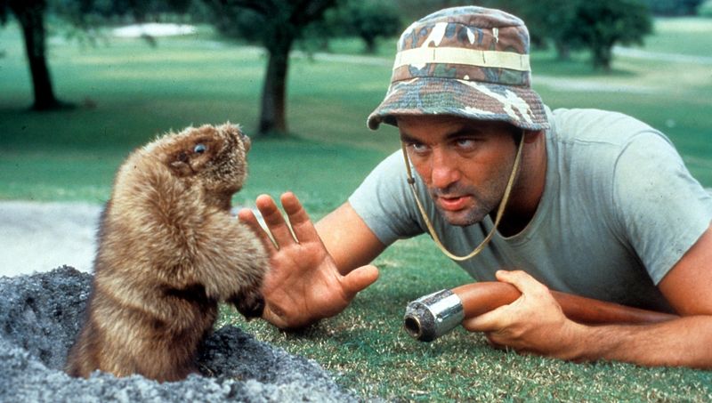 Caddyshack (1980) - IMDb: 7.3