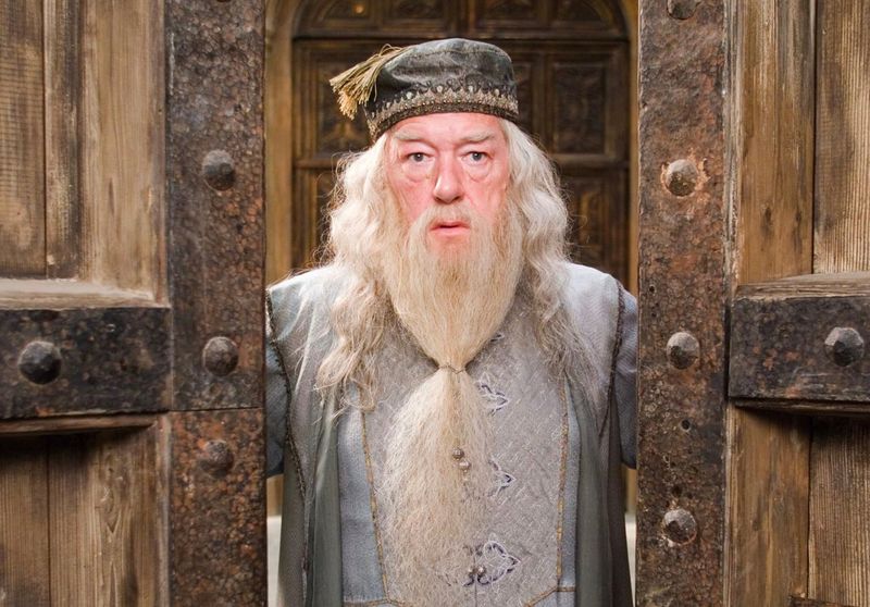 Dumbledore Forgets His Own School's Rules
