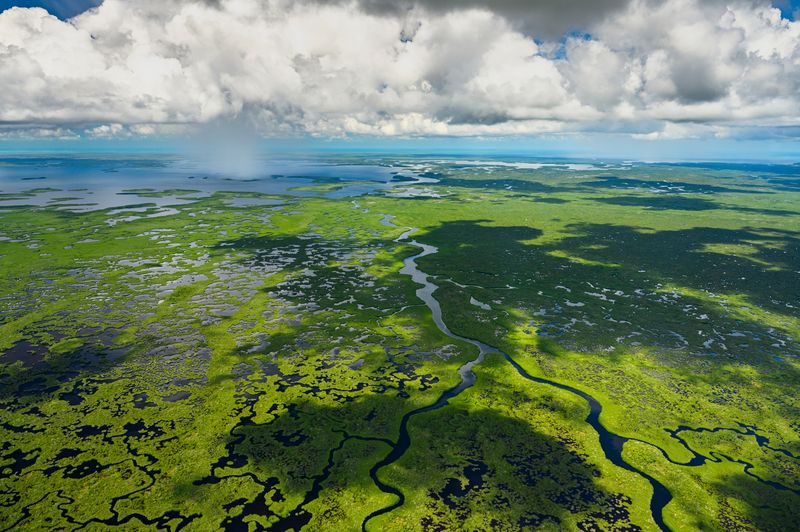 Everglades National Park, Florida