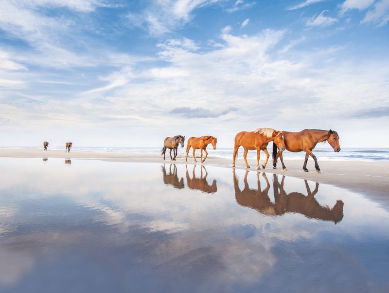 The Outer Banks, North Carolina