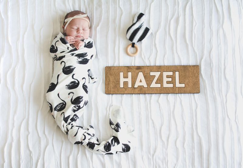 Hazel - Making a Comeback